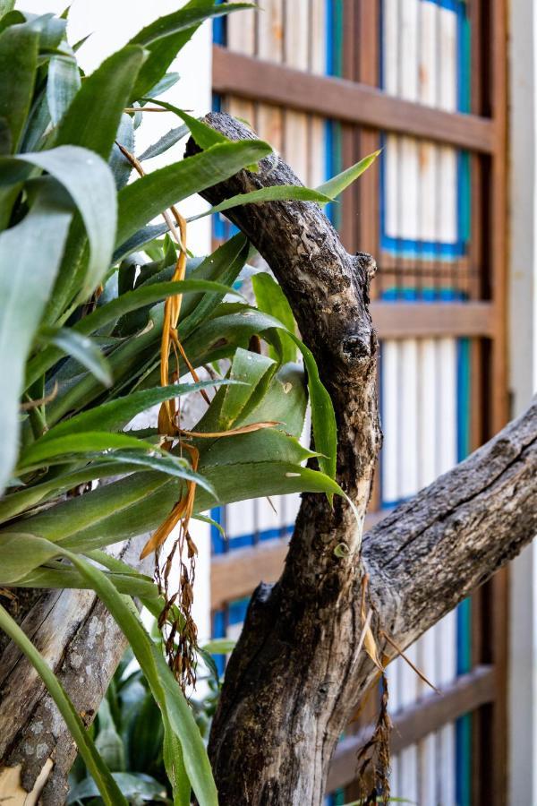 Casa Jacaranda Hotel Boutique - Cauca Viejo - Mayores De 14 Anos - Jericoc  Dış mekan fotoğraf