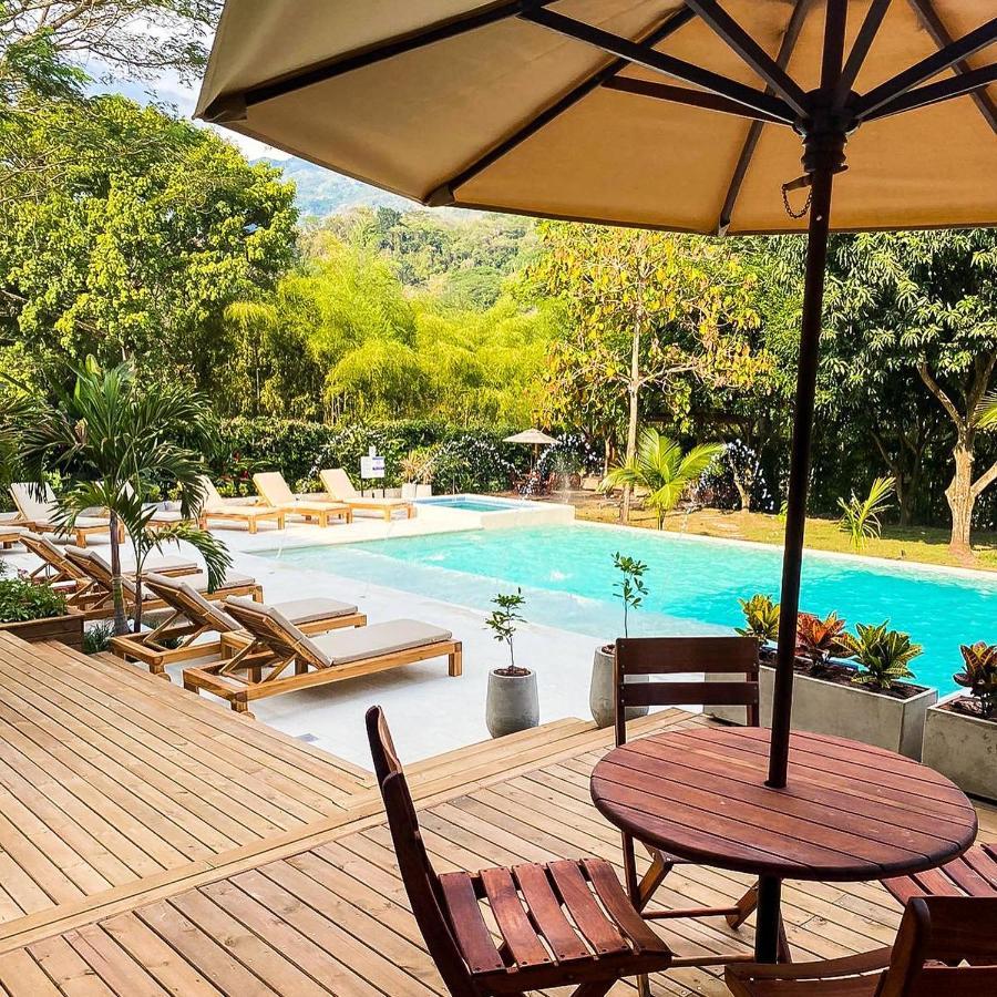 Casa Jacaranda Hotel Boutique - Cauca Viejo - Mayores De 14 Anos - Jericoc  Dış mekan fotoğraf